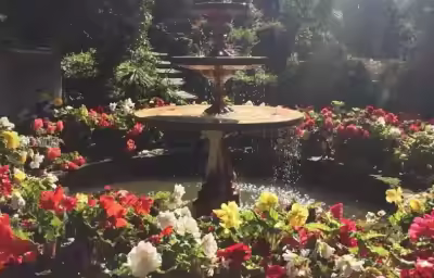 园路与种植的关系