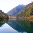 两袖青蛇