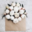 Liu溜好设计