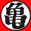 拜格费诗