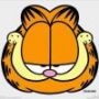 加菲猫