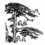 Xwei+