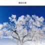 阳光