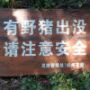 单行线