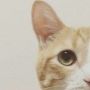 俗人