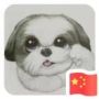 大白设计
