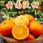 全村唯一的希望