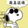 嗨豚愛仩魚
