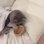 いち