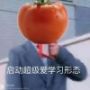 孤独番茄人