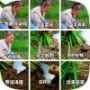 我是李澍霸霸
