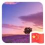 杨念光