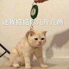 仰望