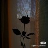MOON80F