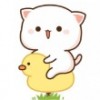 xiaoxue
