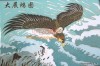 飞扬
