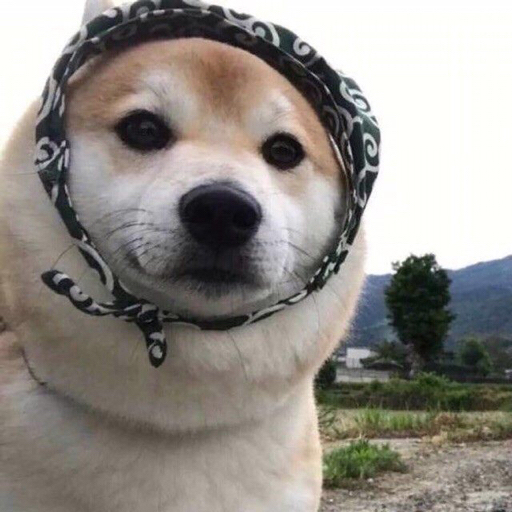 溜之大吉