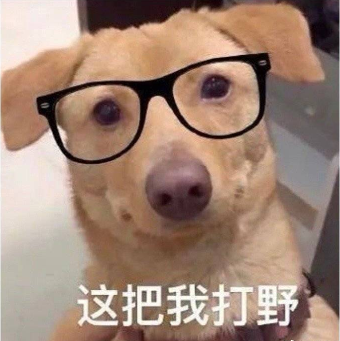 爱吃蔬菜