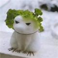 守夜人