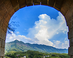 小小苏