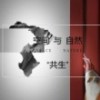 七七柒柒