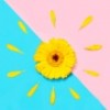 橘子