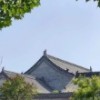 闪闪发光