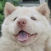 发财发财发财