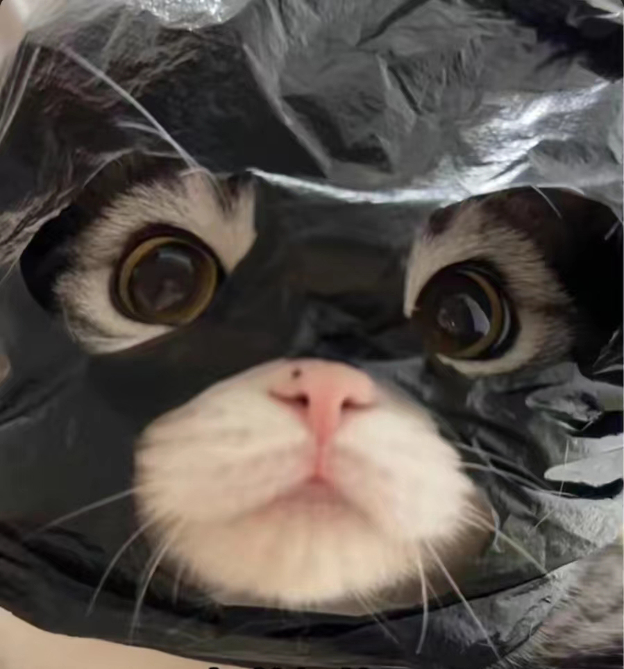 每每
