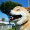 好久不见