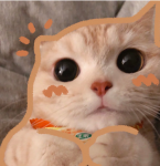 7996686663