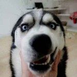 挚爱°尐宝