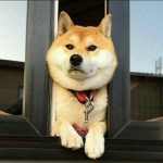 心早以空“
