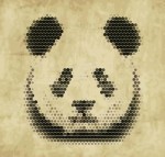 zeng2802368732