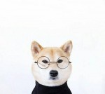 心瞎爱错人
