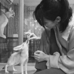 塞阀的冬夜3