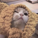 ︶白色的蜡笔画一场婚礼°