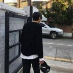 火炬木7