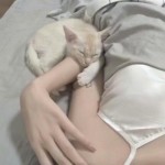 阳光不锈