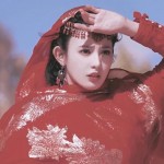 杜小V2