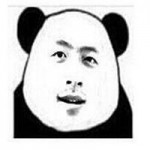 笨笨猪5