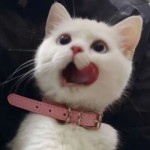 岁月无情仍愿意