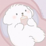 对影若荷6
