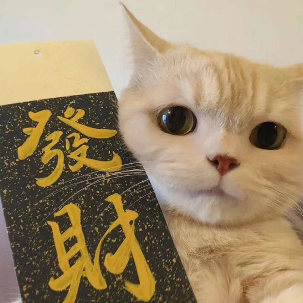 个人主页