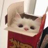 奈七