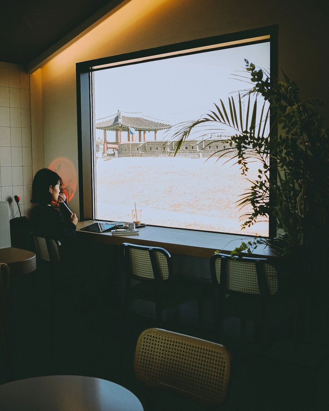 宝宝司机