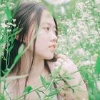 李佳秘