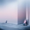 枳实