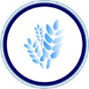 好
