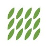 Plants On Walls